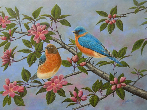 Bluebirds Black Ornate Wood Framed Art Print with Double Matting by Wavra, Robert