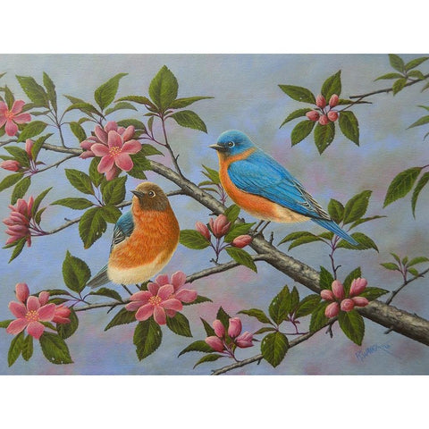 Bluebirds Black Modern Wood Framed Art Print by Wavra, Robert