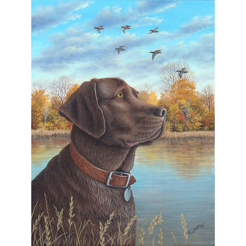 Chocolate Lab Gold Ornate Wood Framed Art Print with Double Matting by Wavra, Robert