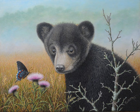 Curious Cub Black Ornate Wood Framed Art Print with Double Matting by Wavra, Robert