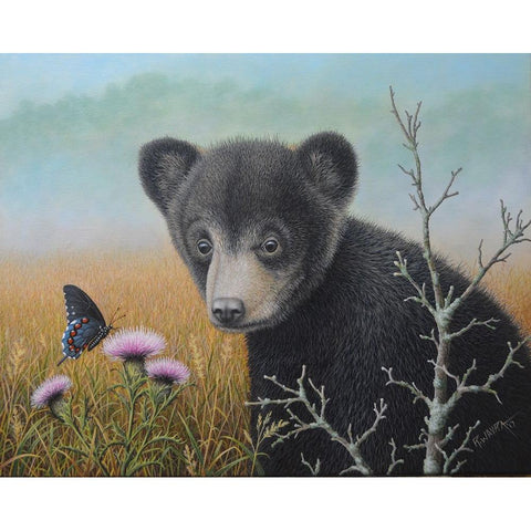 Curious Cub White Modern Wood Framed Art Print by Wavra, Robert