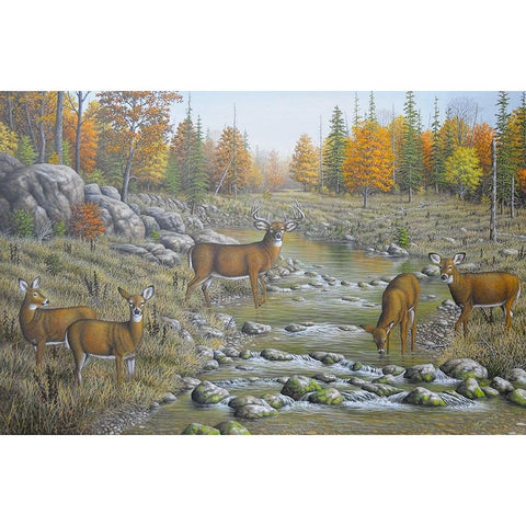 Autumn Whitetails Gold Ornate Wood Framed Art Print with Double Matting by Wavra, Robert