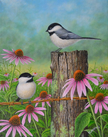 Chickadees and Coneflowers White Modern Wood Framed Art Print with Double Matting by Wavra, Robert