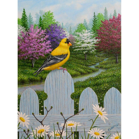 Goldfinch and Daisies Black Modern Wood Framed Art Print with Double Matting by Wavra, Robert