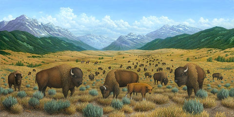 The Bison Trail White Modern Wood Framed Art Print with Double Matting by Wavra, Robert