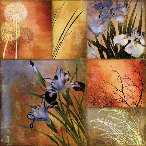 Grasslands II Black Modern Wood Framed Art Print by Sasha