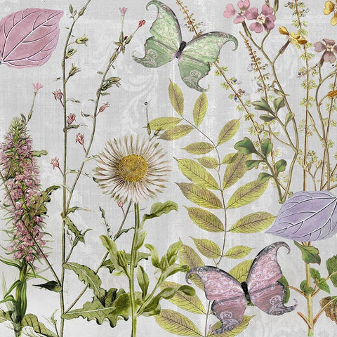 Botanique II White Modern Wood Framed Art Print by Sasha