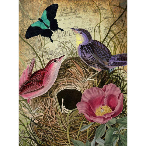 Petals and Wings IV Gold Ornate Wood Framed Art Print with Double Matting by Sasha