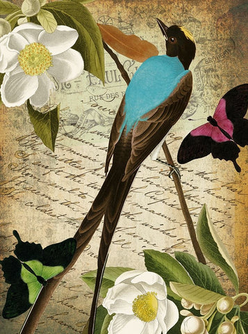 Petals and Wings V Black Ornate Wood Framed Art Print with Double Matting by Sasha