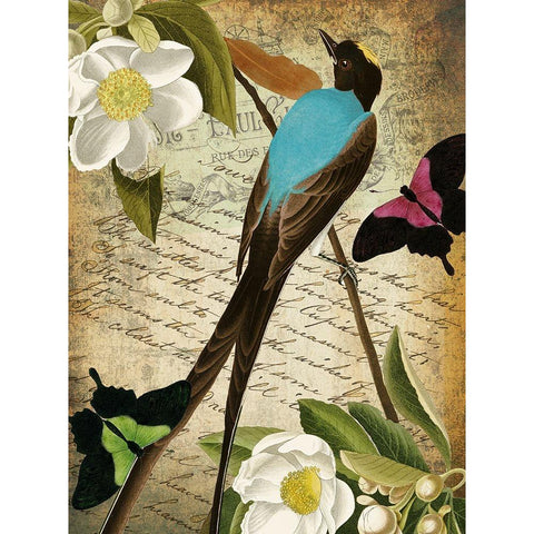 Petals and Wings V Black Modern Wood Framed Art Print by Sasha