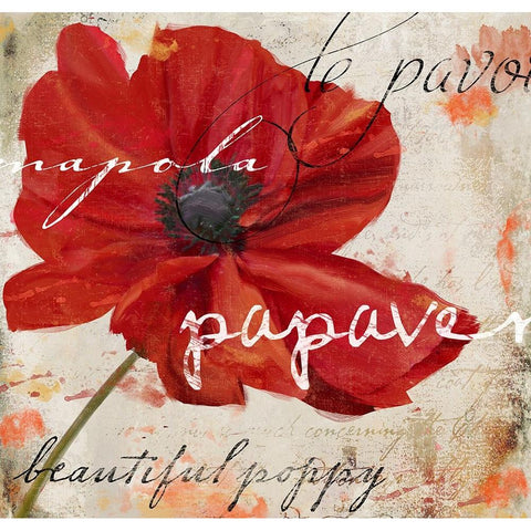 Le Pavot I White Modern Wood Framed Art Print by Sasha