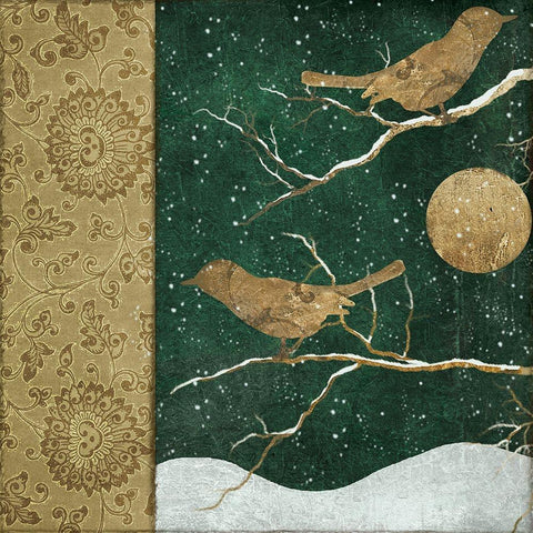 Birds of Winter I Black Modern Wood Framed Art Print with Double Matting by Sasha