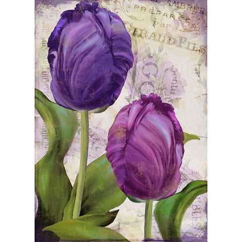 Parrot Tulips I Black Modern Wood Framed Art Print with Double Matting by Sasha