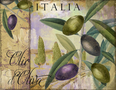 Toscana I White Modern Wood Framed Art Print with Double Matting by Sasha