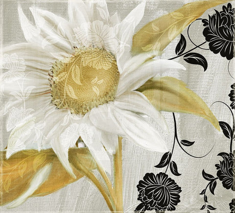 Sunroom I Black Ornate Wood Framed Art Print with Double Matting by Sasha