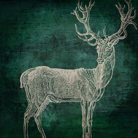 Emerald Deer Black Ornate Wood Framed Art Print with Double Matting by Sasha
