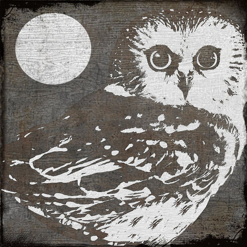 Owl 3 White Modern Wood Framed Art Print with Double Matting by Sasha