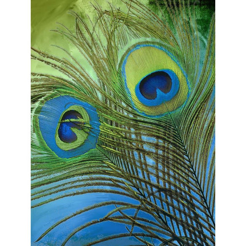 Peacock Candy I Gold Ornate Wood Framed Art Print with Double Matting by Sasha