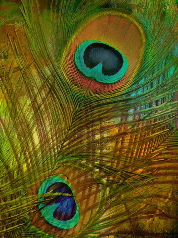 Peacock Candy II Black Ornate Wood Framed Art Print with Double Matting by Sasha