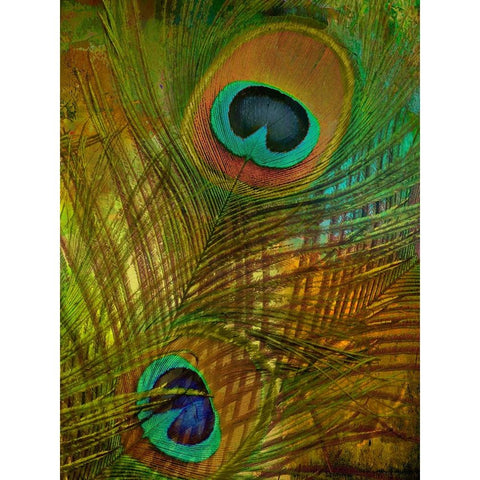 Peacock Candy II Black Modern Wood Framed Art Print by Sasha