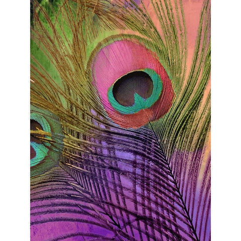 Peacock Candy III Black Modern Wood Framed Art Print with Double Matting by Sasha