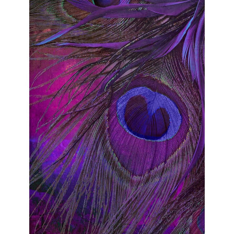 Peacock Candy IV Black Modern Wood Framed Art Print with Double Matting by Sasha