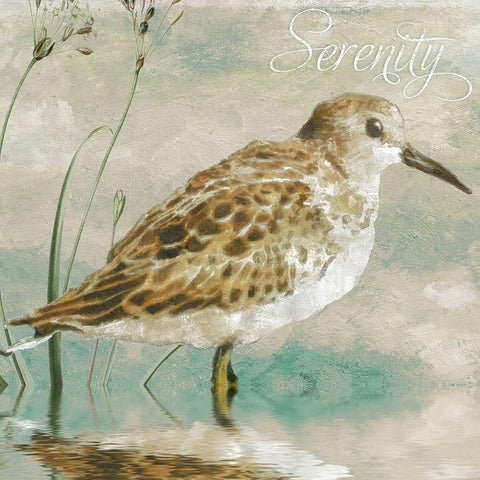 Sand Piper I Black Modern Wood Framed Art Print by Sasha
