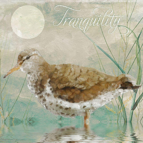 Sand Piper II White Modern Wood Framed Art Print by Sasha