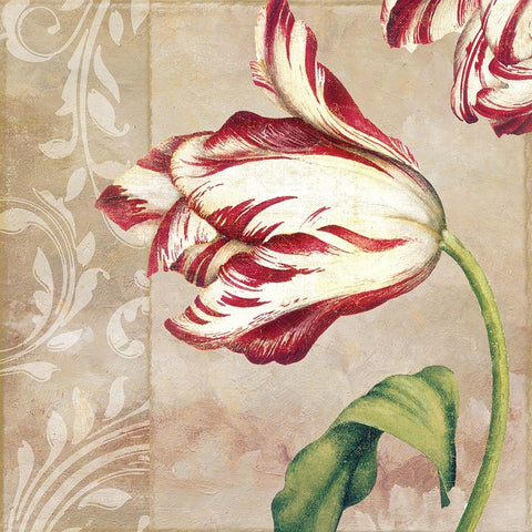 Peppermint Tulips II Black Modern Wood Framed Art Print with Double Matting by Sasha