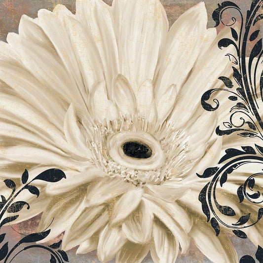 Image Only