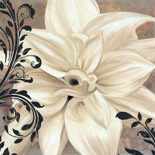 Image Only