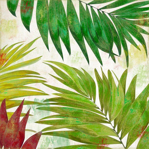 Brasilia I Black Modern Wood Framed Art Print with Double Matting by Sasha