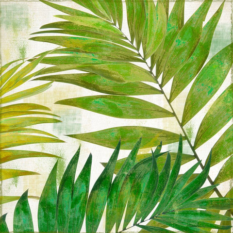 Brasilia II White Modern Wood Framed Art Print with Double Matting by Sasha