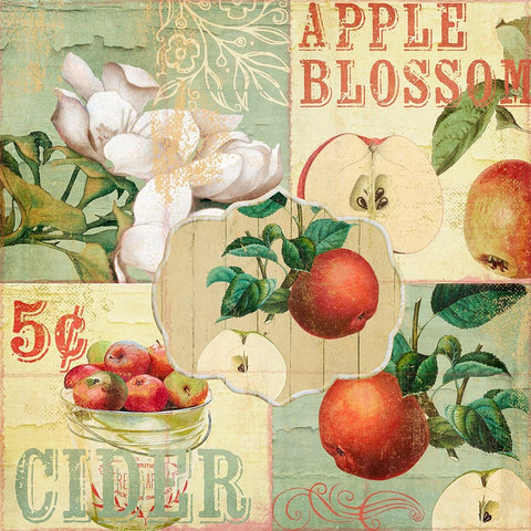 Apple Blossoms I White Modern Wood Framed Art Print with Double Matting by Sasha