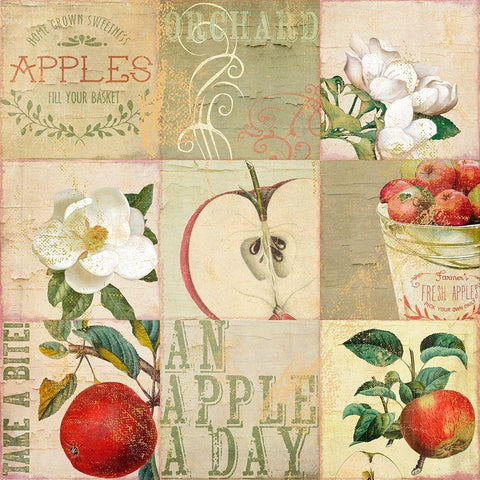 Apple Blossoms III White Modern Wood Framed Art Print by Sasha