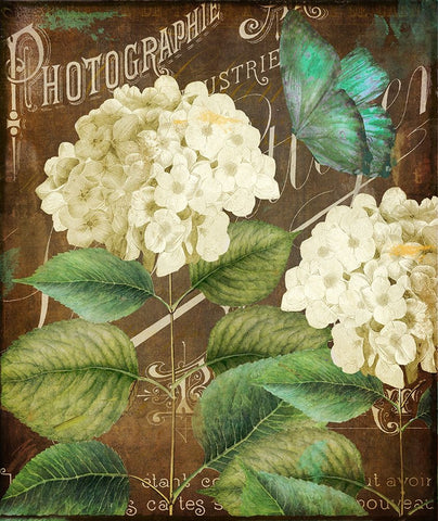 Alabaster Hydrangea White Modern Wood Framed Art Print with Double Matting by Sasha