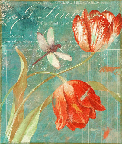 Mandarin Tulips White Modern Wood Framed Art Print with Double Matting by Sasha