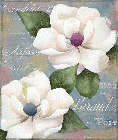 Southern Charms White Modern Wood Framed Art Print with Double Matting by Sasha