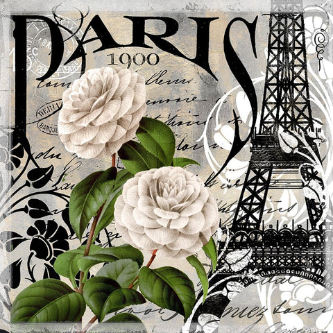 Paris Blanc II Black Ornate Wood Framed Art Print with Double Matting by Sasha