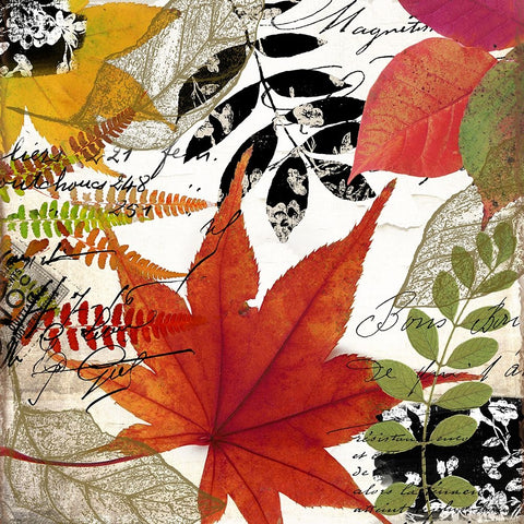 Equinox II White Modern Wood Framed Art Print with Double Matting by Sasha