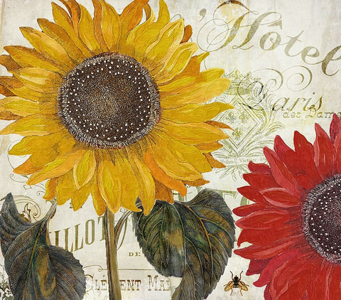 Sundresses I White Modern Wood Framed Art Print with Double Matting by Sasha