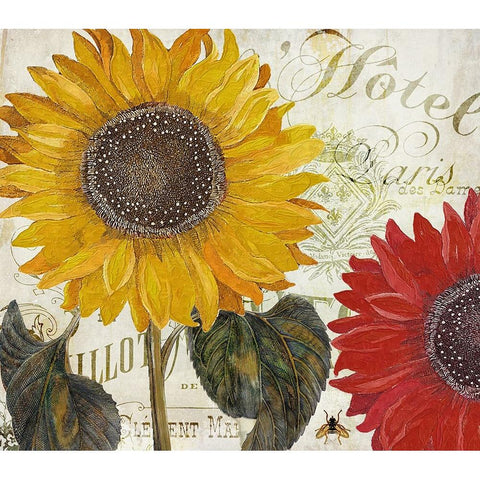 Sundresses I Gold Ornate Wood Framed Art Print with Double Matting by Sasha