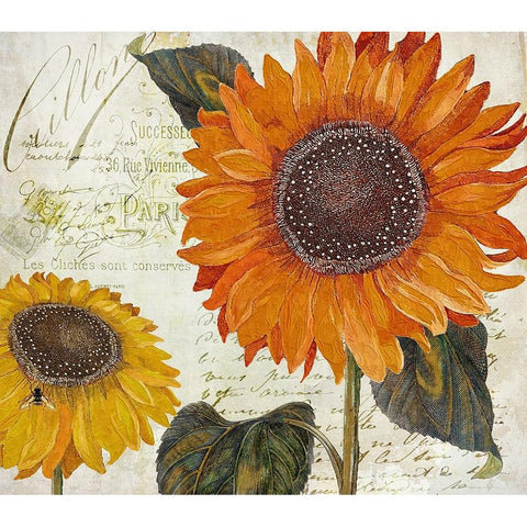 Sundresses II Gold Ornate Wood Framed Art Print with Double Matting by Sasha