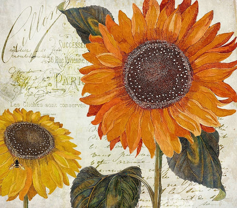 Sundresses II Black Ornate Wood Framed Art Print with Double Matting by Sasha