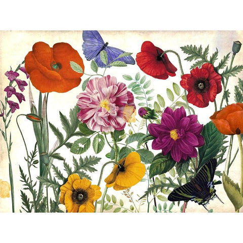 Printemps I White Modern Wood Framed Art Print by Sasha