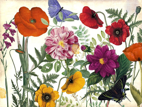 Printemps I Black Ornate Wood Framed Art Print with Double Matting by Sasha