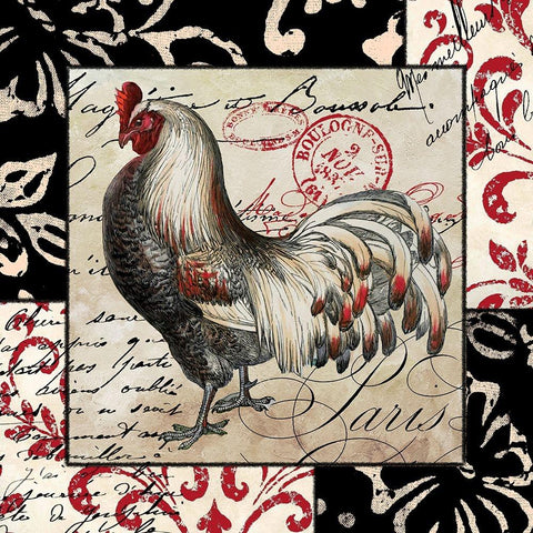 Europa White And Gray Rooster Black Modern Wood Framed Art Print with Double Matting by Sasha