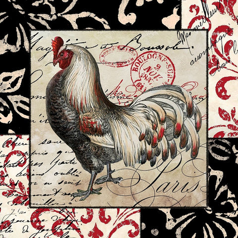 Europa White And Gray Rooster Black Ornate Wood Framed Art Print with Double Matting by Sasha