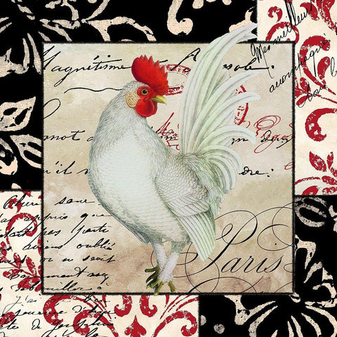 Europa White Rooster Black Modern Wood Framed Art Print with Double Matting by Sasha