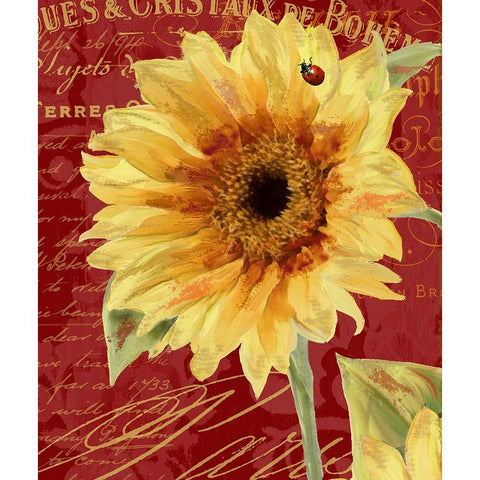 Ete Lady Bug Gold Ornate Wood Framed Art Print with Double Matting by Sasha